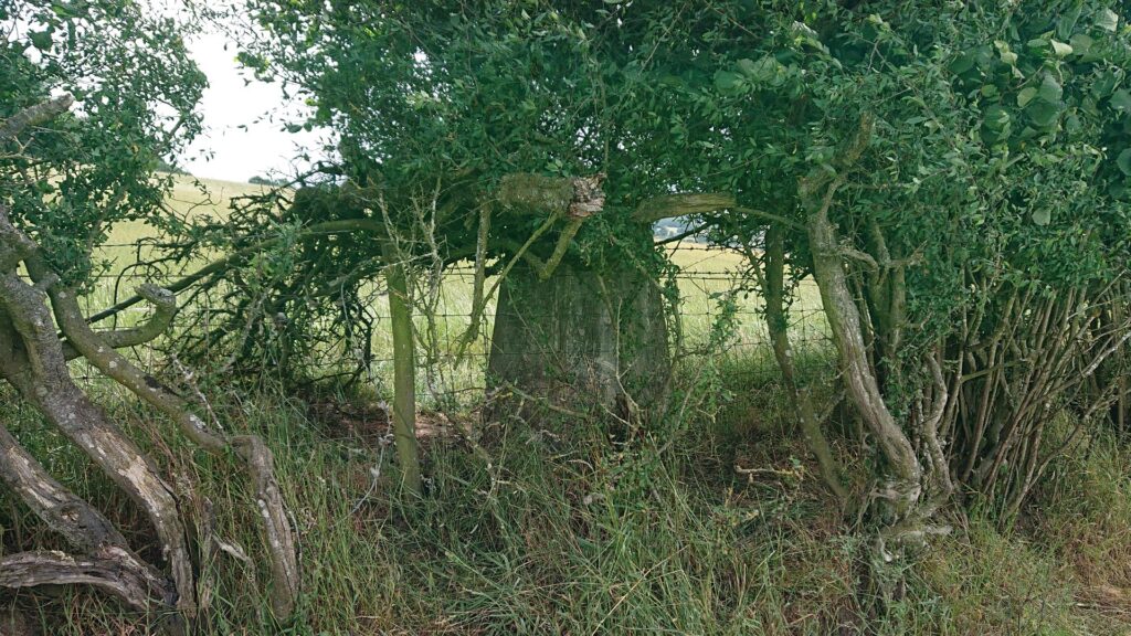 Shobdon Hill Trig Point