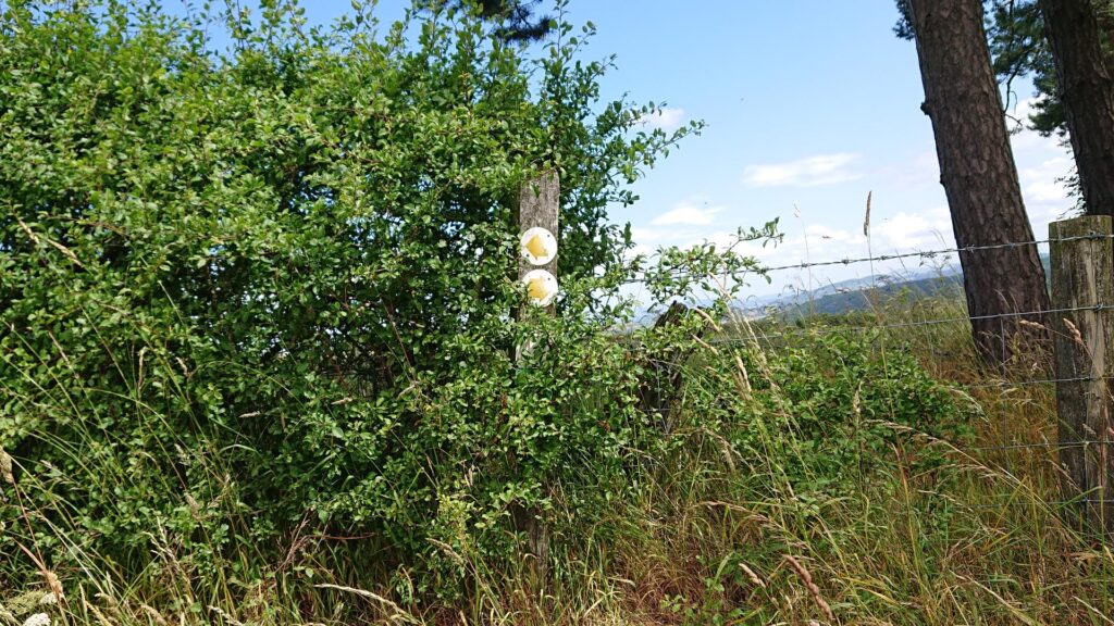 Follow the signs to the Harleys Mountain Trig Point