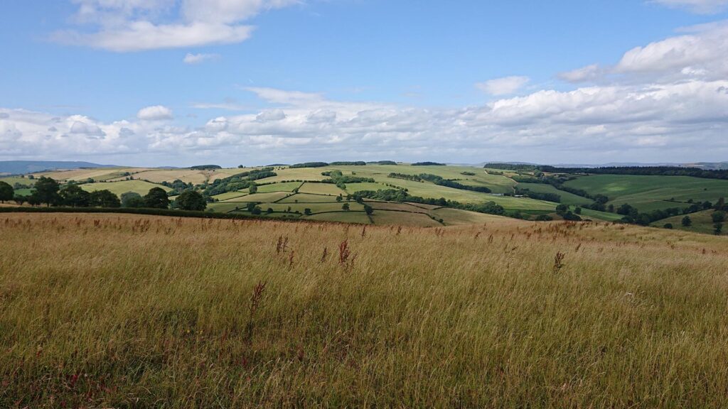 Views from the Harleys Mountain Trig Point