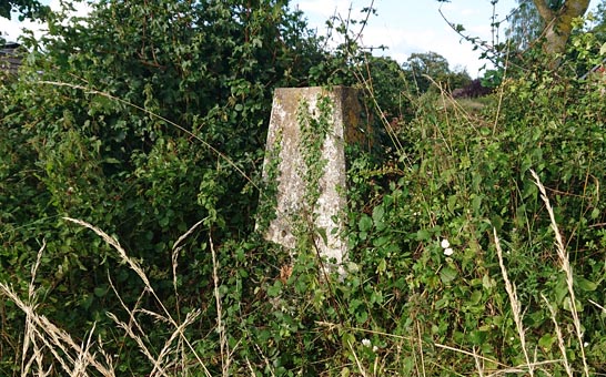 brampton_abbotts_trig_point_quick_view