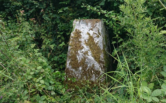 gwern_y_cae_trig_point_quick_view