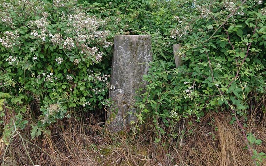 summercourt_farm_trig_point_quick_view