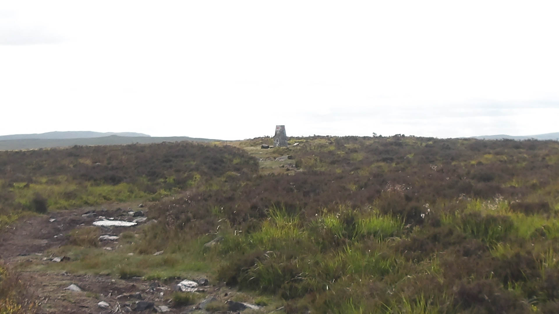 Mynydd Llangynid Trig Point