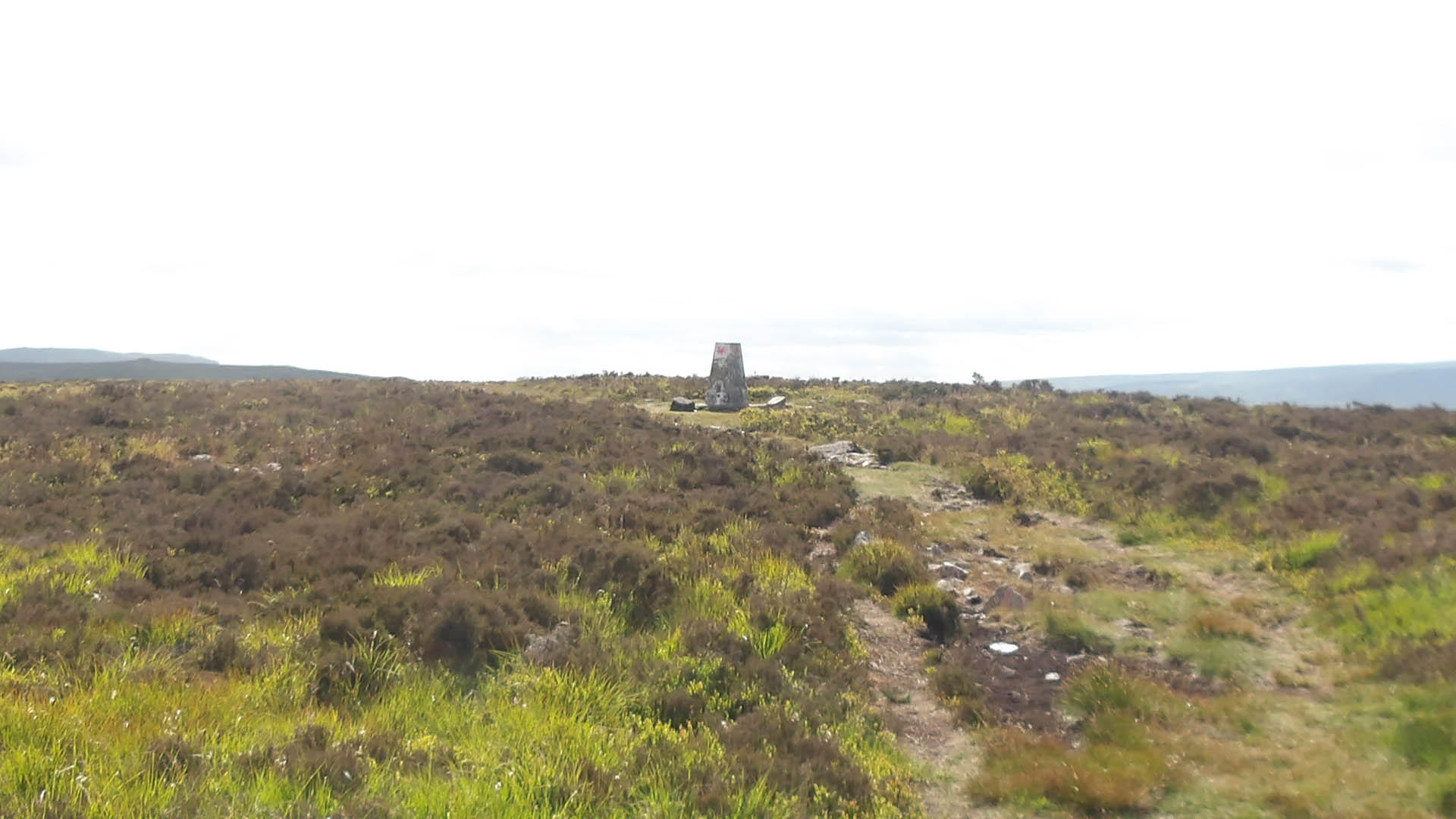 Mynydd Llangynid Trig Point